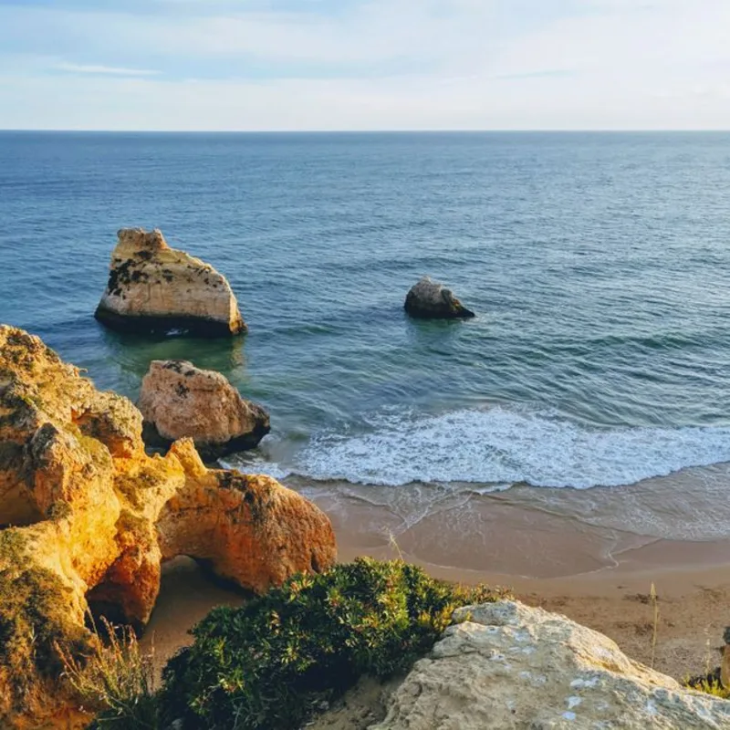Faro