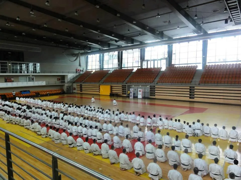 Karate Braga