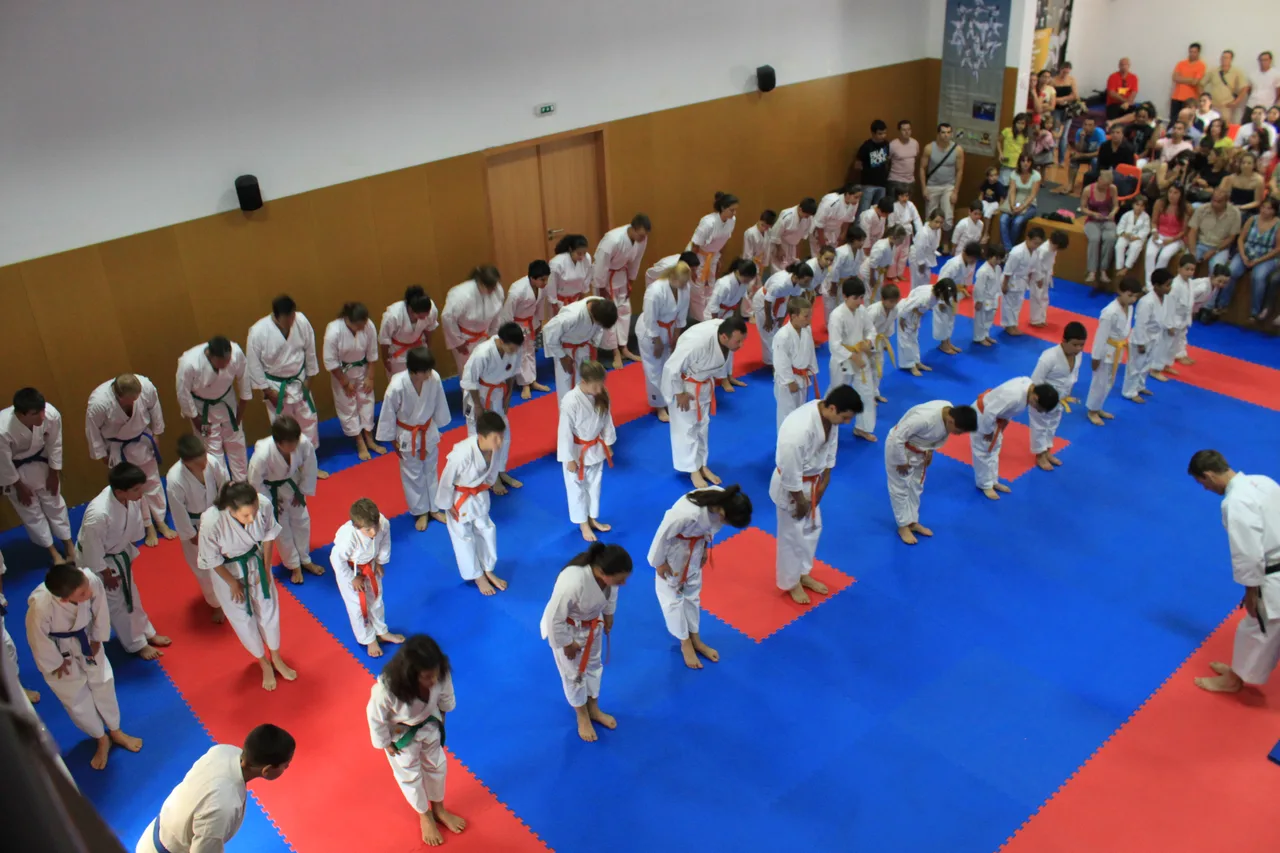 Karate Braga