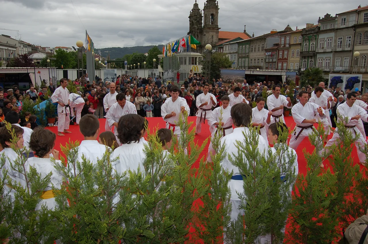 Karate Braga
