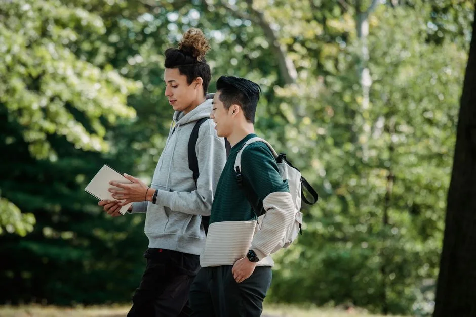 Estudantes a caminhar juntos num campus, exemplo do percurso escolar até ao ensino superior